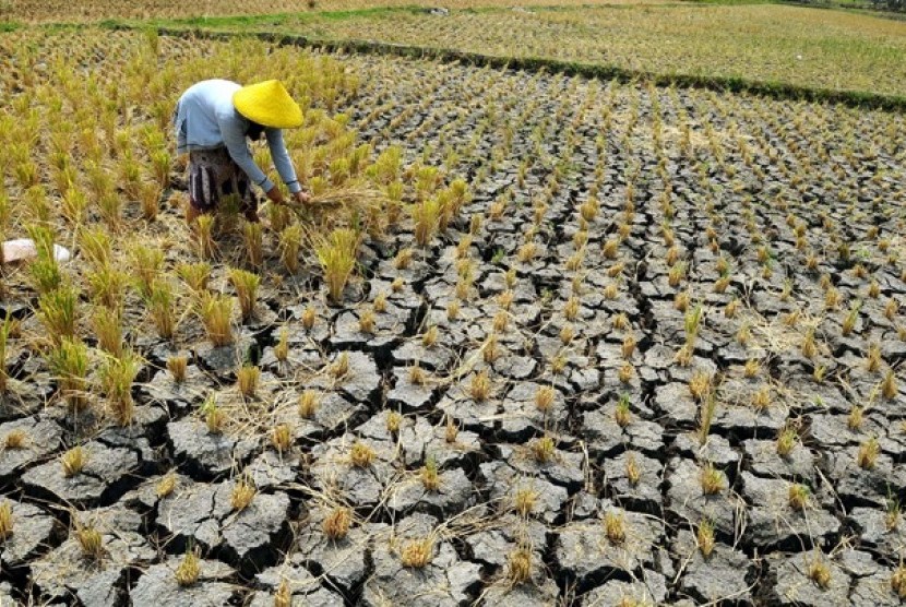  Ketahanan Pangan Masih Jadi PR Besar Indonesia