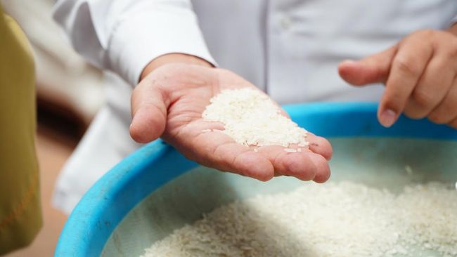  MUI: Mengoplos Beras Perilaku Tak Jujur dan Culas