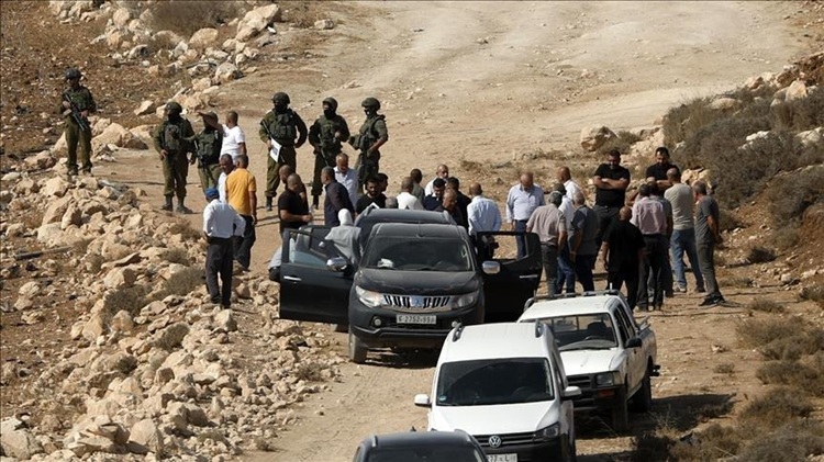  Serang Peternakan Warga Palestina, Pemukim Ilegal Israel Curi 150 Ekor Domba