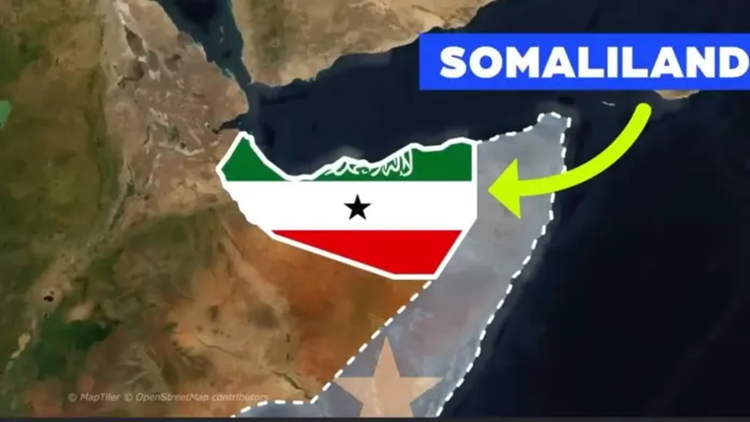  OKI dan 22 Negara Muslim Kecam Kunjungan Otoritas Israel ke Somaliland