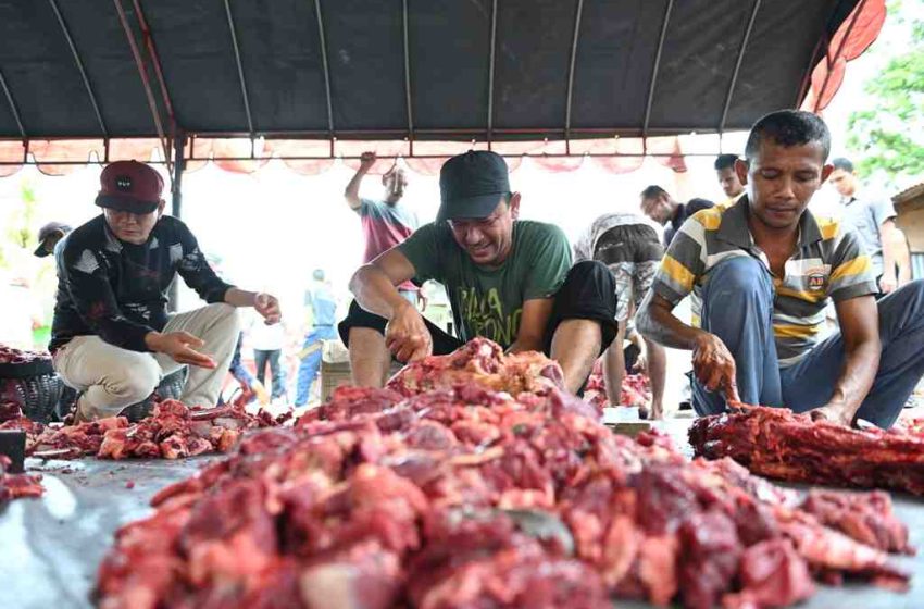  Zero Waste Qurban: Memanfaatkan Kulit dan Tulang Tanpa Melanggar Hukum Jual-Beli