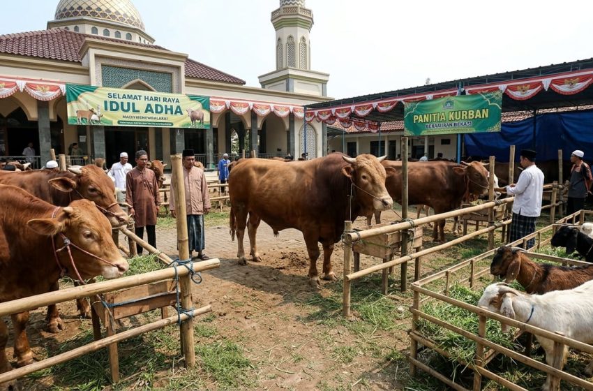  Qurban Bukan Sekadar Sembelih: Ada Adab di Setiap Detiknya
