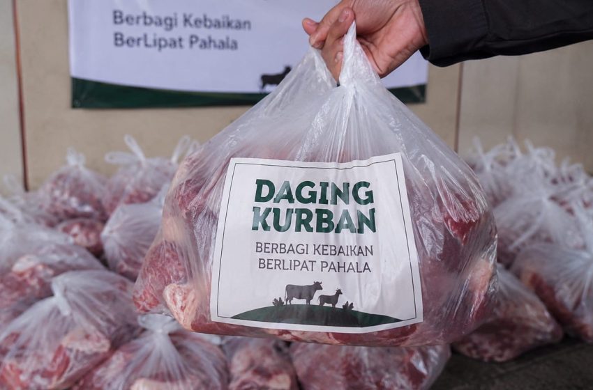  Daging Qurban, Hadiah Cinta untuk Sesama