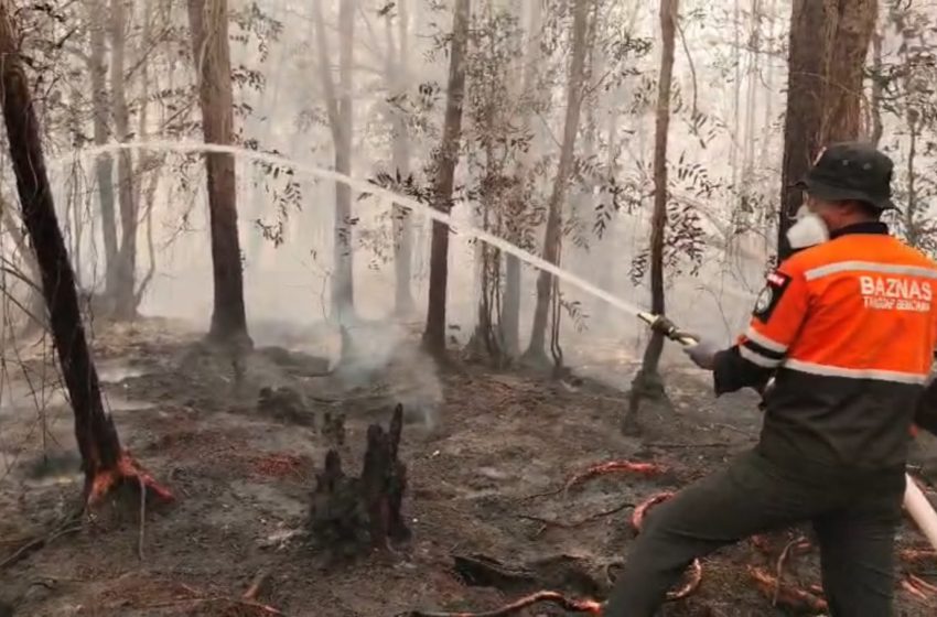  Gencarkan Penanganan Karhutla di Kalimantan, BAZNAS Kerahkan Puluhan Personel dan Layanan Oksigen